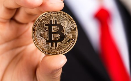 What Are Your Criteria for Investing in a Crypto Presale in 2025?