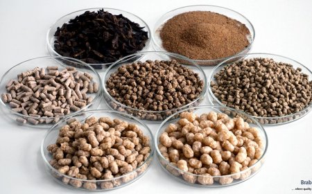 Roadmap for Setting up a Fish Feed Manufacturing Plant Project | Report by IMARC Group