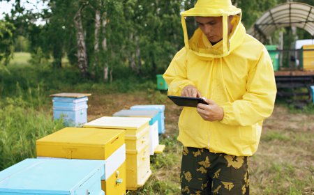 IoT Beehive Monitoring System: Smart Tech for Bee Health, Wildfire Survival & Winter Protection