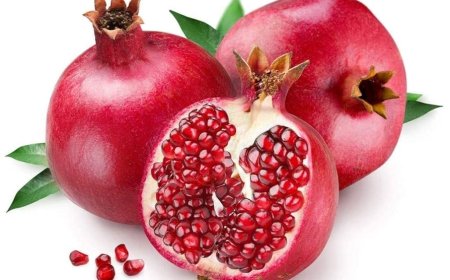 Pomegranate Processing Plant Cost 2025: Detailed Project Report, Machinery and Materials Requirement