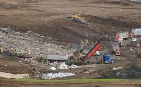 Landfill Gas Market Size, Trends, and Strategic Outlook 2025-2032