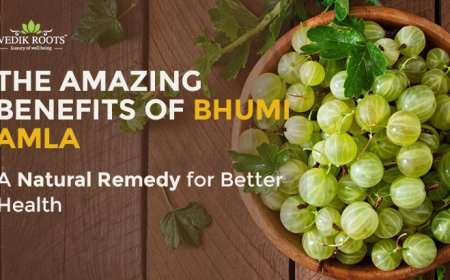 The Amazing Benefits of Bhumi Amla: A Natural Remedy for Better Health