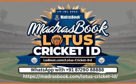 Where Can I Get a Trusted Lotus ID Provider?