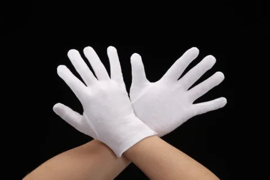 Small Cotton Gloves by Livingstone – Clean Hands, Gentle Touch, Great Fit