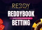 ReddyBook Esports Betting: Odds on League of Legends, Dota 2, CS:GO